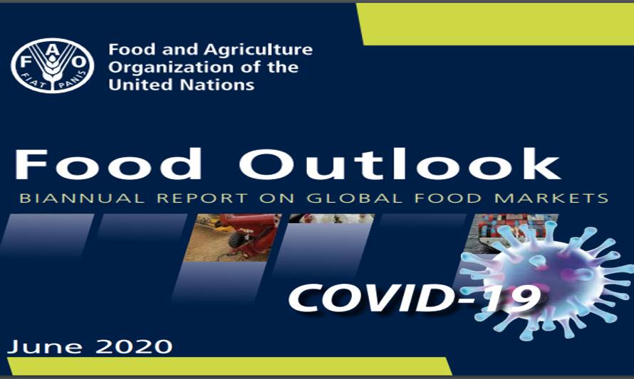 Perspectivas de los lácteos de FAO: producción mundial crecerá 8%