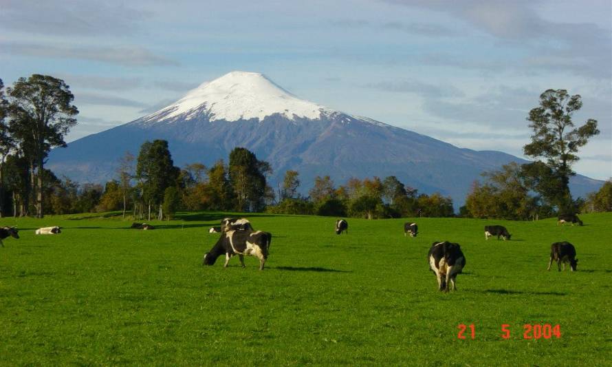 Cooperativismo en el sector lechero