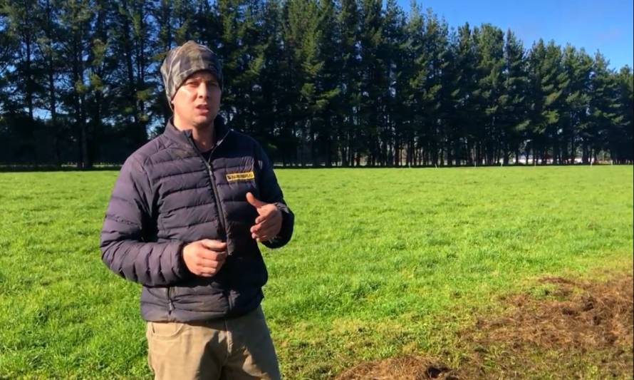 La importancia de un buen manejo de la pradera en época invernal