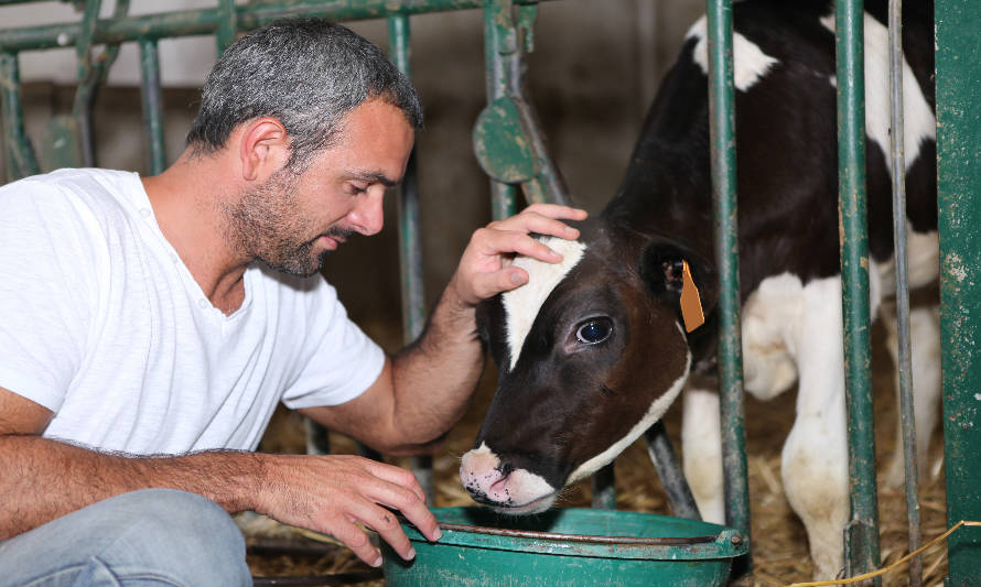 El camino de la certificación internacional en bienestar animal