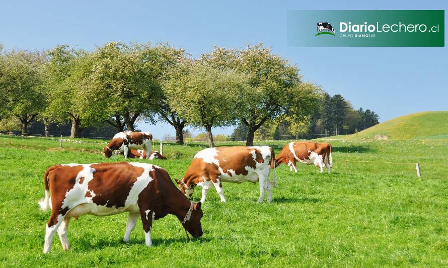 Precio pagado al productor anota alza de 15,9% en el primer semestre 2020