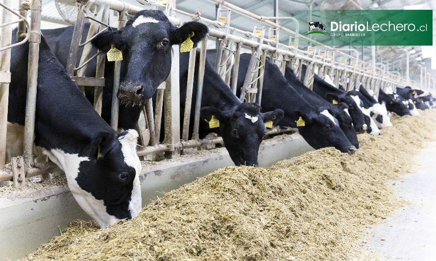 Estados Unidos presenta recuperación de la producción de leche