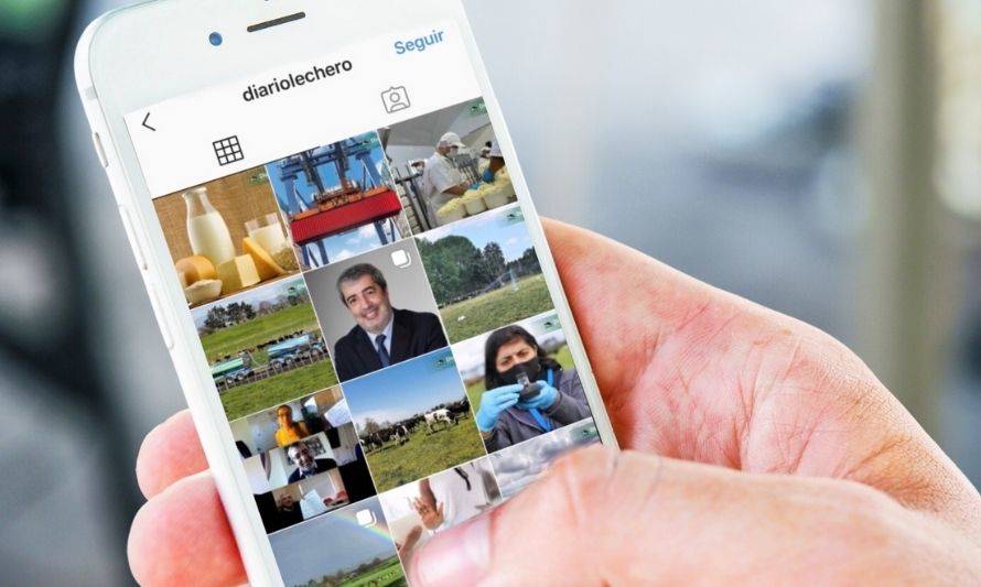 Instagram: una potente herramienta para empresas y emprendedores del sector lechero
