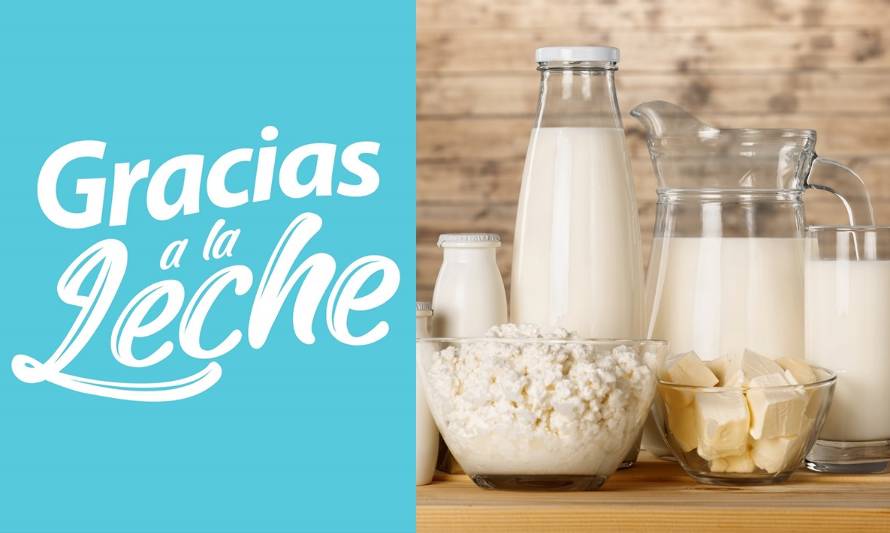 Productores latinoamericanos conocieron programa “Gracias a la Leche”