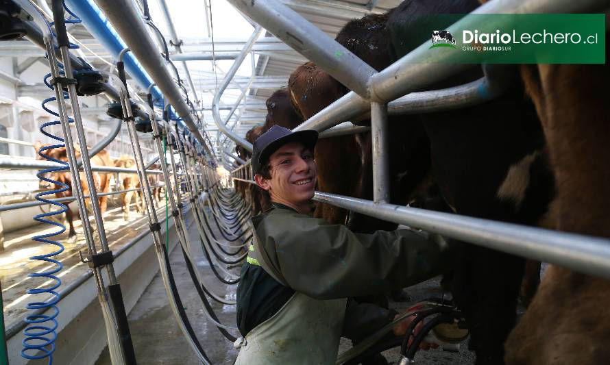 Sinergias y oportunidades en el sector lechero