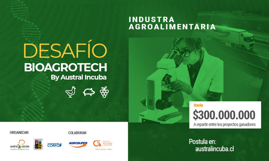 Referentes de la industria te desafían a innovar con Austral Incuba 