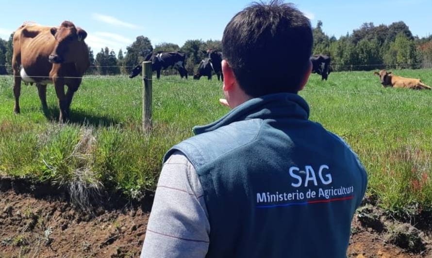 SAG Los Lagos realiza positivo balance de la Declaración de Existencia Animal período 2020