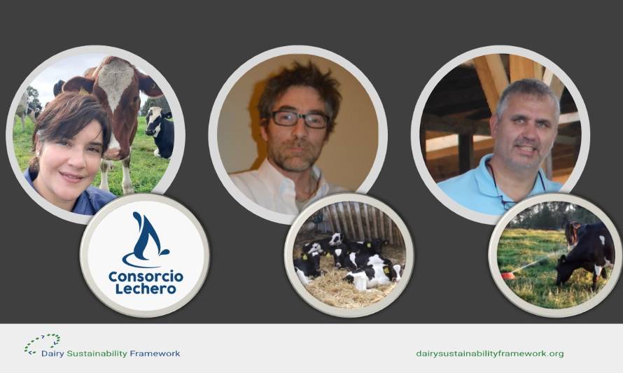 Lecheros chilenos compartieron logros en bienestar animal ante expertos globales en sustentabilidad láctea