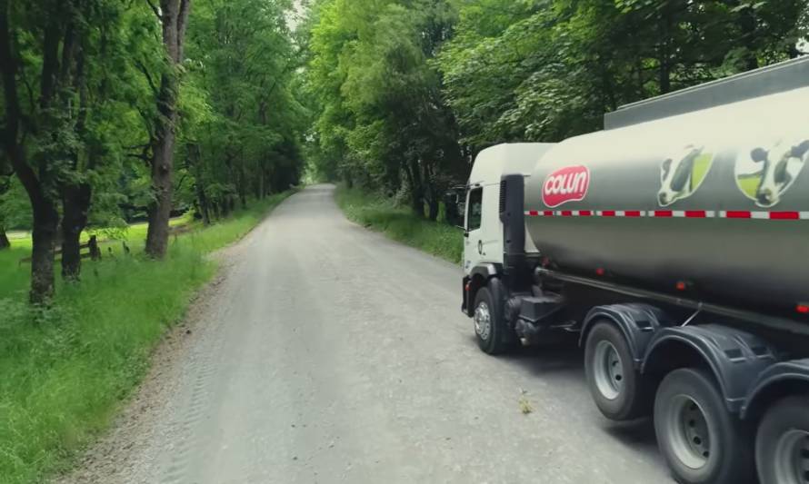 ¿Cómo cerró la recepción de leche cruda por empresa en 2020?