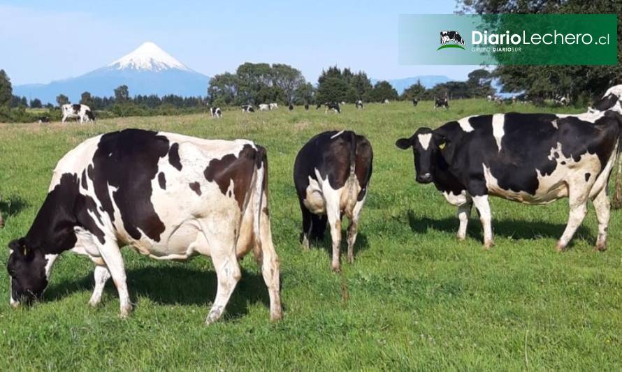 Resultados en la producción nacional de leche por región