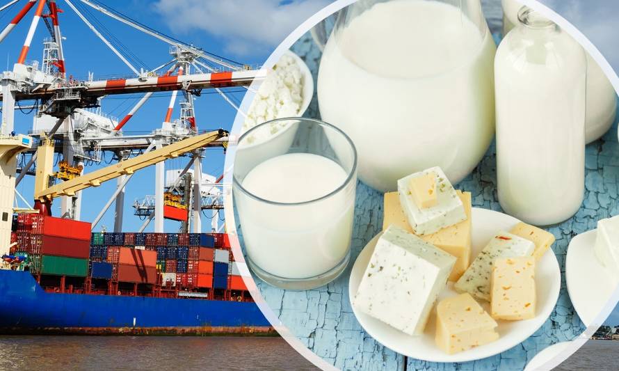 Las exportaciones lácteas chilenas sufren caída de 24,7% en enero