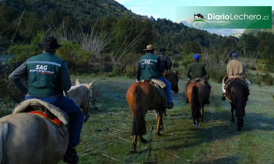 En Cochamó: SAG monitorea sanidad del ganado en predios limítrofes con Argentina
