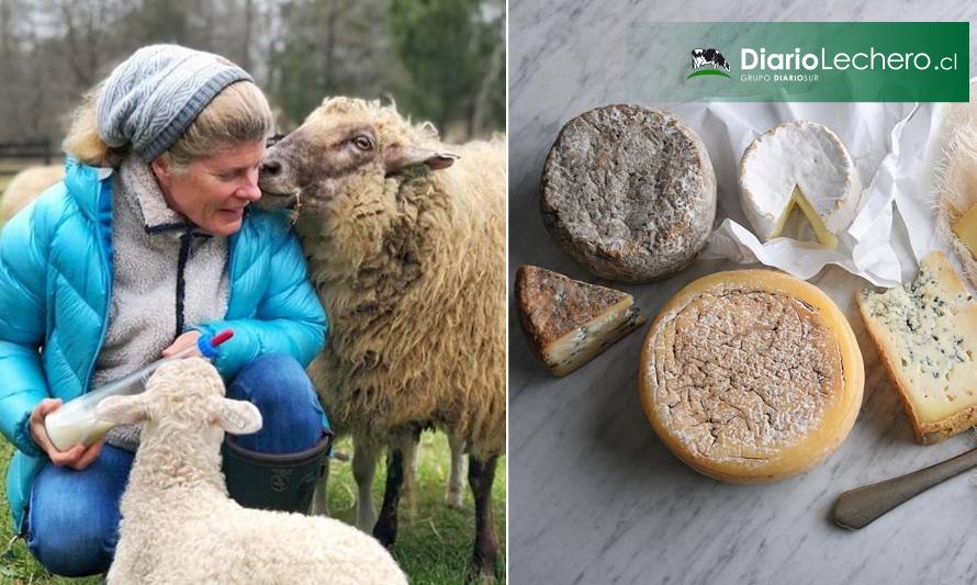 Innovador emprendimiento familiar se abre camino en la fabricación de productos de ovejas vascas
