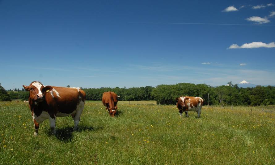 Crean Mesa de Sustentabilidad Ambiental para el sector lácteo