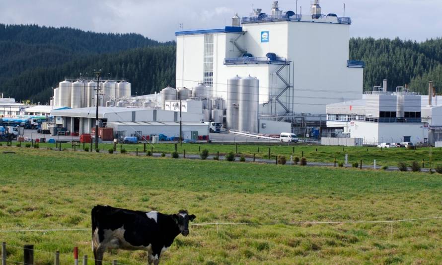 El mercado internacional de la leche se mantiene estable