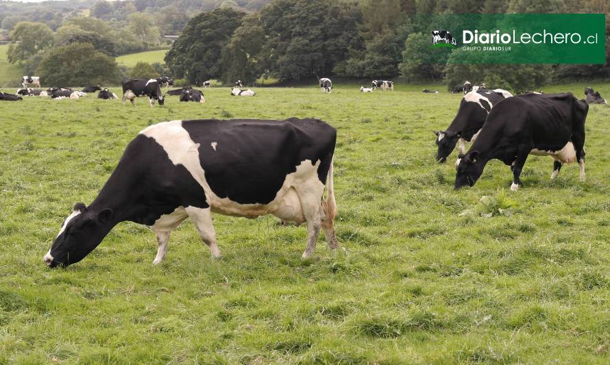 SAG asigna 1.120 millones de pesos a agricultores de la Región de Los Lagos para mejorar suelos de uso agropecuario