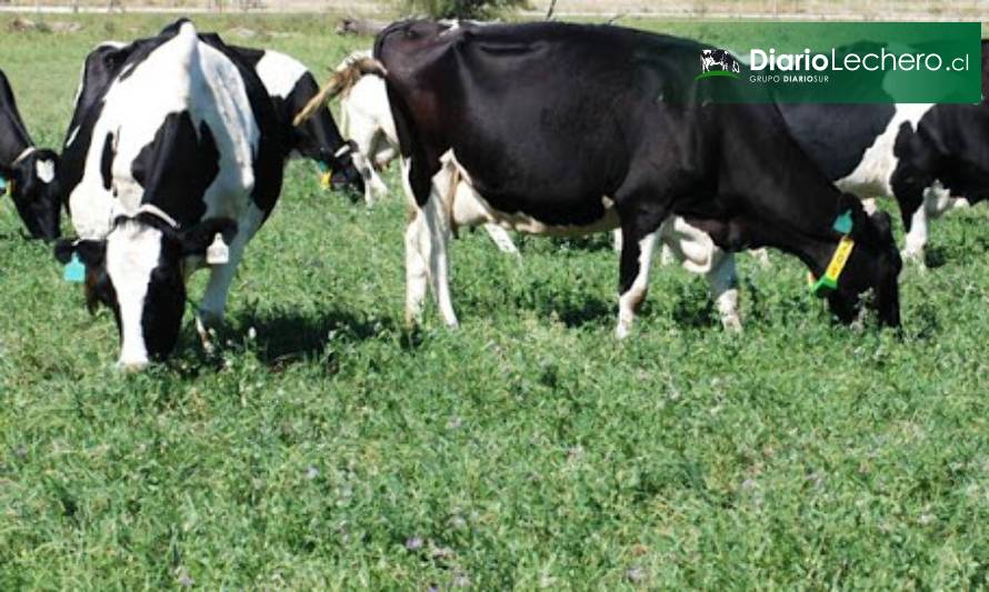 Uruguay apuesta por la Ganadería Climáticamente Inteligente