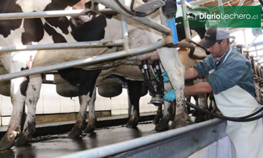 Con variación positiva cerró el precio de la leche pagado a productor en febrero