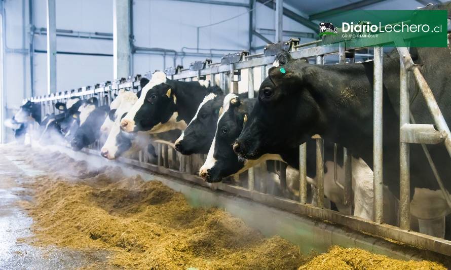 Se viene nueva Edición Especial de Nutrición de vacas lecheras en otoño e invierno