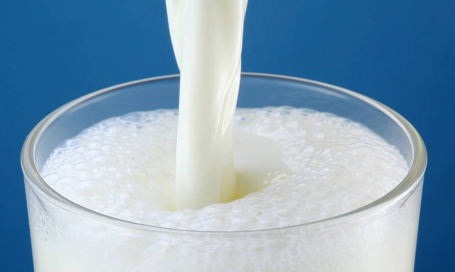 Con gran éxito se realizó webinar “Implicaciones sanitarias: Antibióticos, regulación, e inocuidad en la industria láctea"