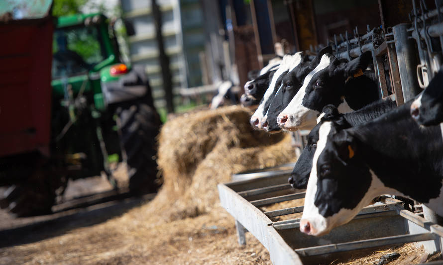 UE: Se espera que la producción de lácteos aumente debido a la mayor producción de leche cruda