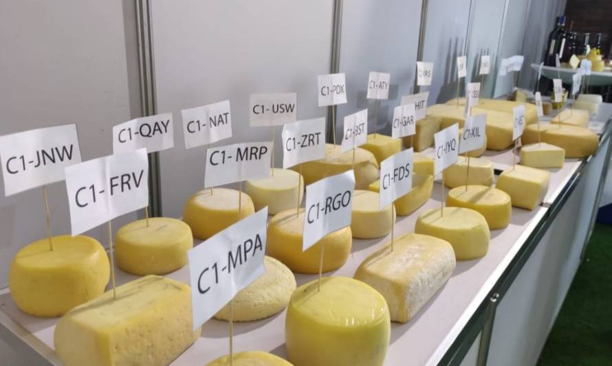 Loncoche lideró concurso de quesos de La Araucanía