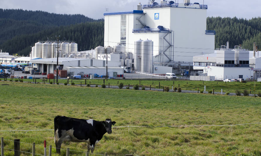 Panorámica de la producción en el Hemisferio Sur