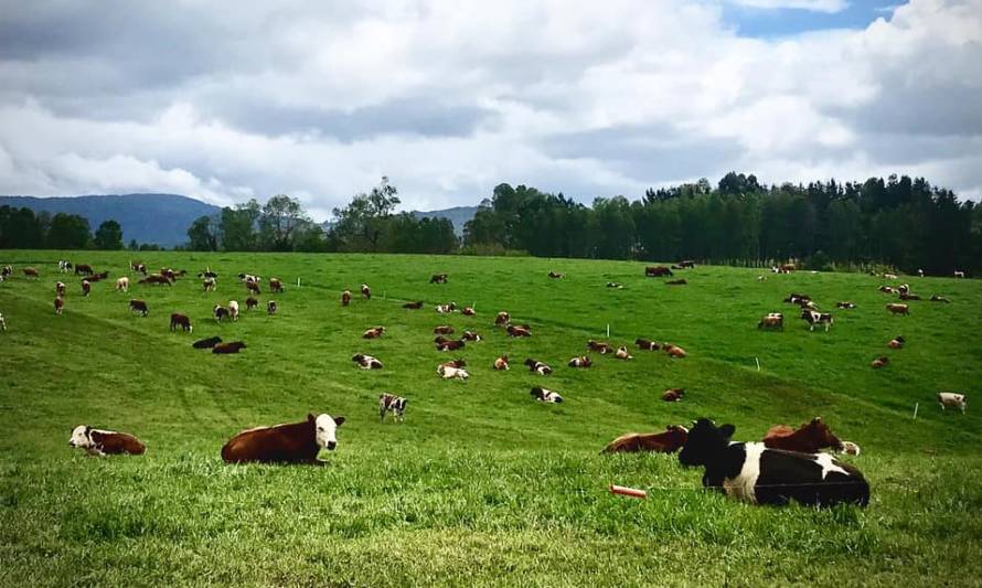 Fedeleche sostiene reunión con Ministra de Agricultura, María Emilia Undurraga