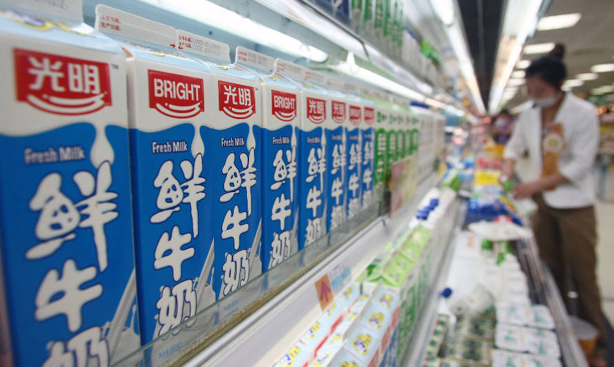 China intensifica sus importaciones de productos lácteos 