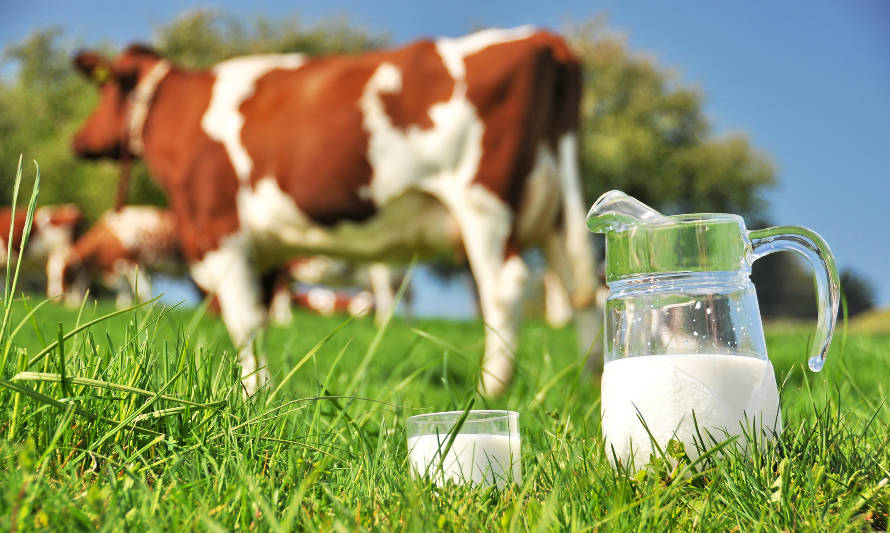 El nuevo escenario de precios y el estímulo que esto implica a la producción lechera