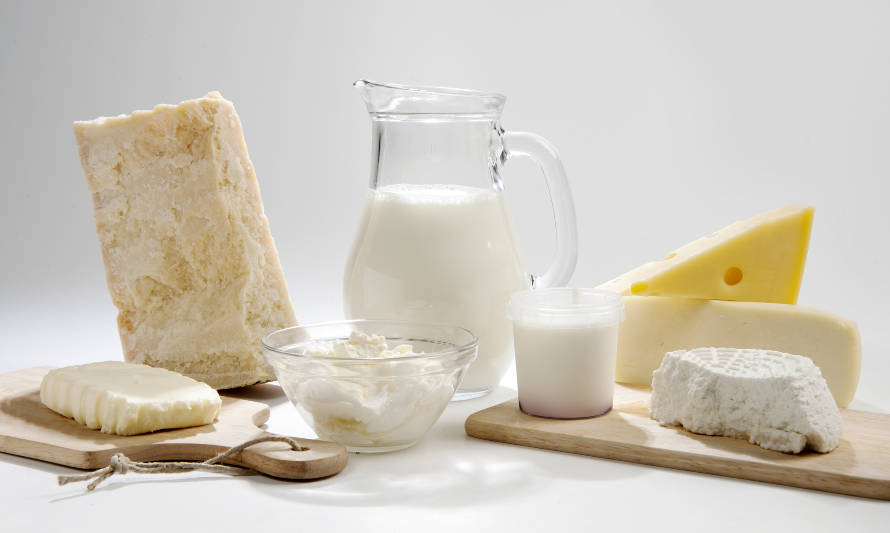 Índice de precios de los productos lácteos de la FAO disminuyó en julio