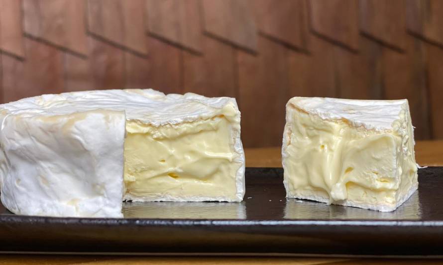 Emprendimiento de Chiloé fabrica quesos con sabor a aceitunas, salvia y cebollín