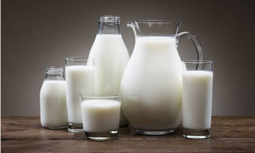 ¿Por qué las alternativas a la leche engañan a los consumidores y perjudican a los productores?