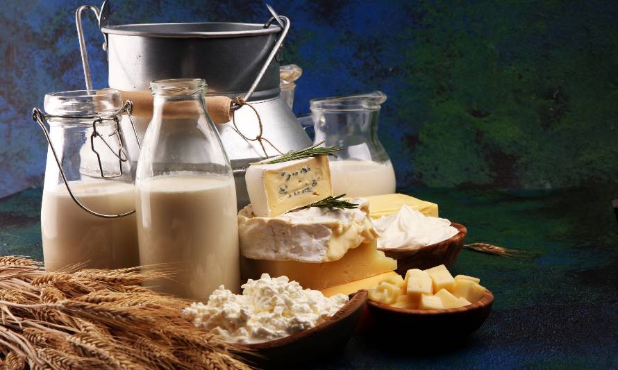El índice de precios de los lácteos de la FAO registró ligera baja en agosto
