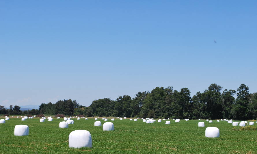 Lechería Circular: Sector lácteo avanza en reciclaje de plásticos