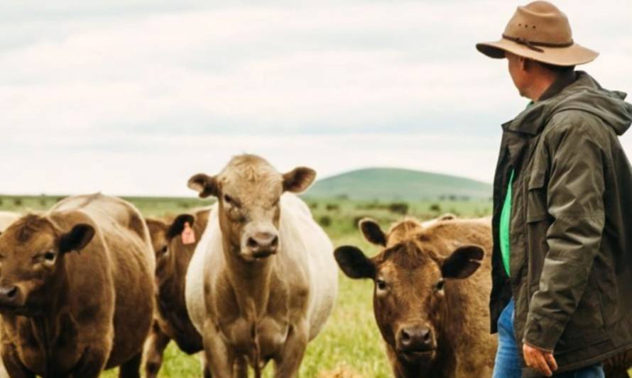 Ordeño una vez al día: la modalidad que están adoptando las granjas de Nueva Zelanda