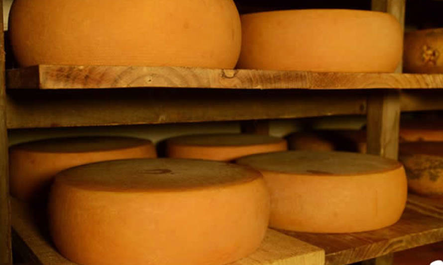 Industriales lácteos del Paraguay se declaran “quebrantados” por el contrabando de “queso Paraguay”