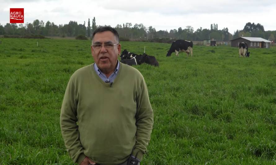 Humberto Díaz: "La lechería es un negocio de detalles"