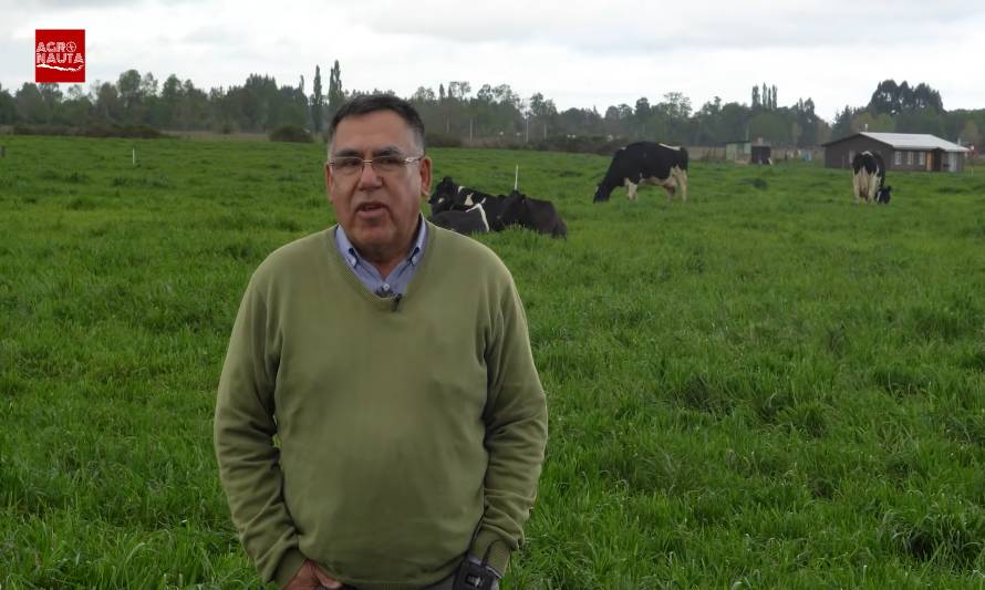 Humberto Díaz: "La lechería es un negocio de detalles"