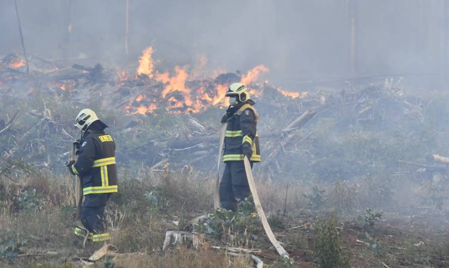 Más de 300 hectáreas se han consumido en  grave incendio forestal en Osorno