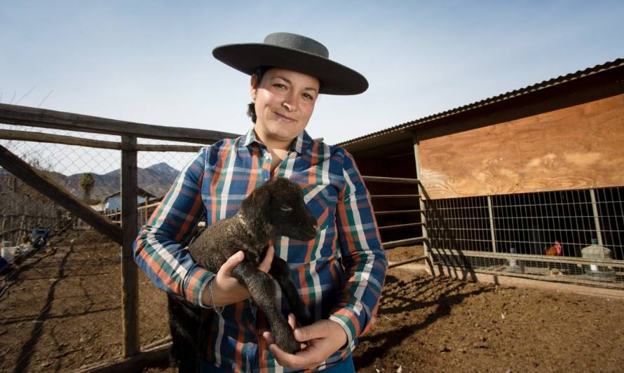 Mujeres rurales: protagonistas en la sobrevivencia y el futuro del campo 