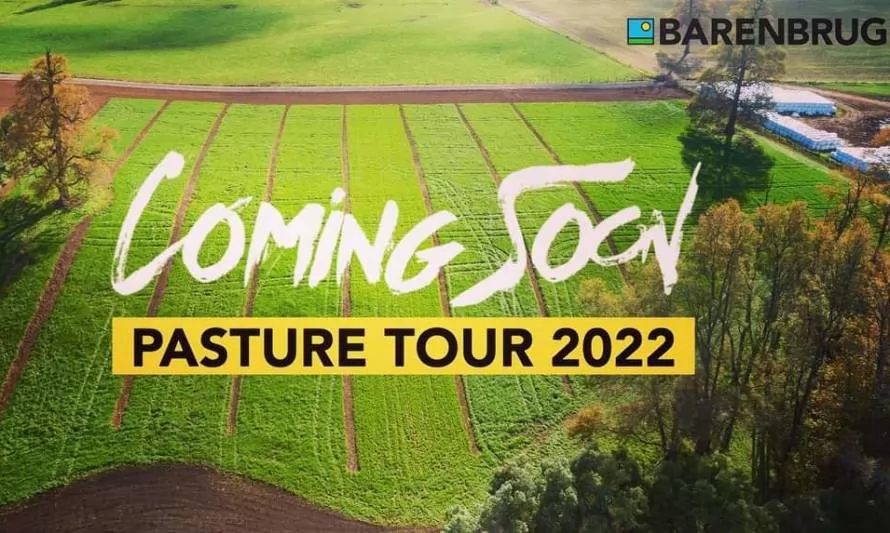 Barenbrug invita a su Pasture Tour 2022