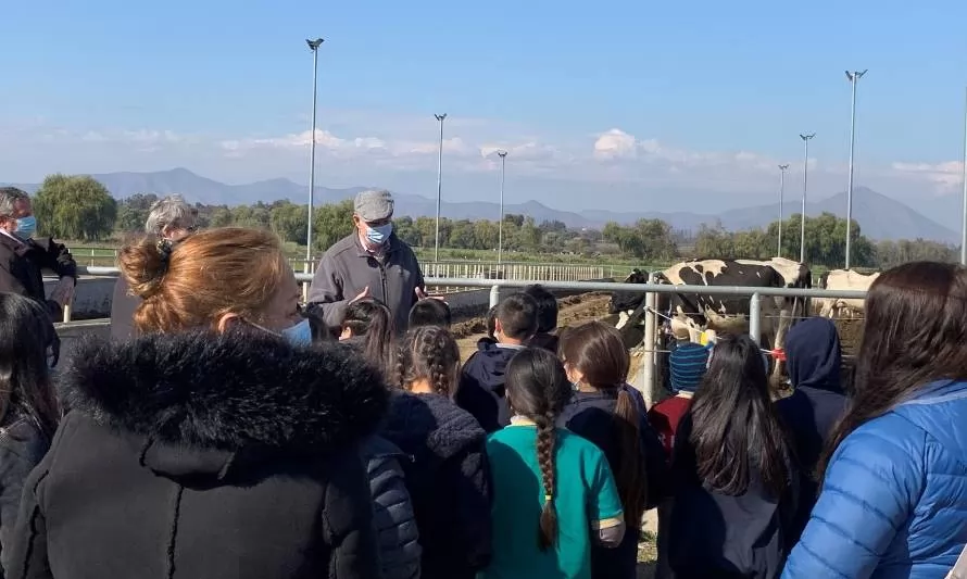 “Descubriendo La Lechería”: Escolares visitan predio lechero de la zona centro 