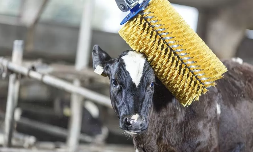 Mostrarán tecnologías de la ganadería de precisión para aumentar el bienestar animal