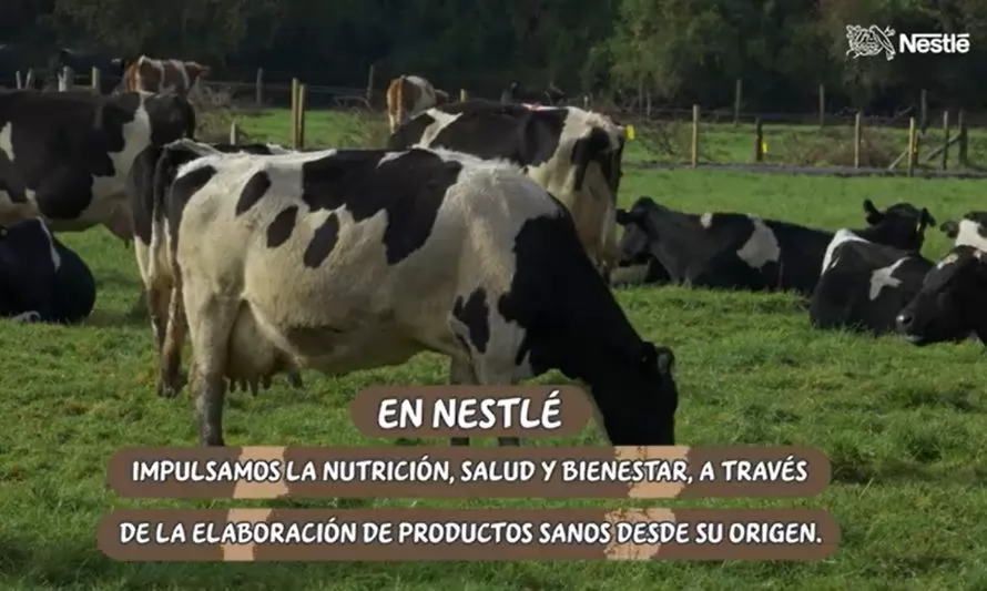 Nestlé da a conocer plan global para apoyar y acelerar la transición hacia este sistema Agroalimentario Regenerativo