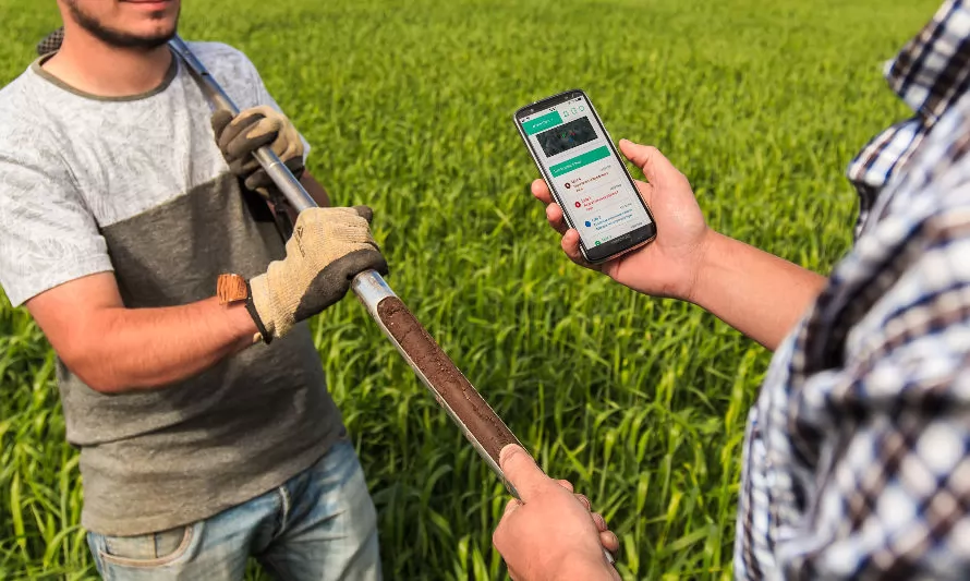 Cómo la trazabilidad y los datos digitales están revolucionando la industria agrícola de forma sustentable