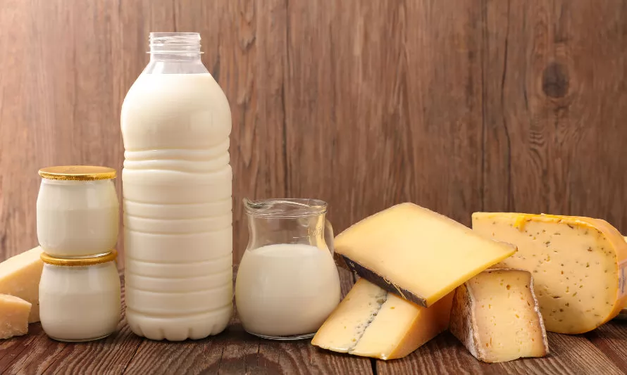 El precio de la leche al productor mejoró un 8,6% entre enero y mayo