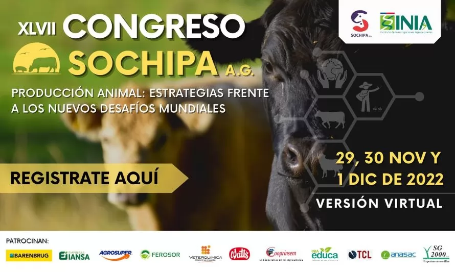 Congreso SOCHIPA: Producción animal y las estrategias frente a los nuevos desafíos mundiales