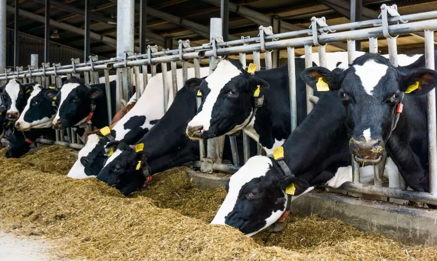 Pulso a la producción de leche cruda en regiones al mes de septiembre