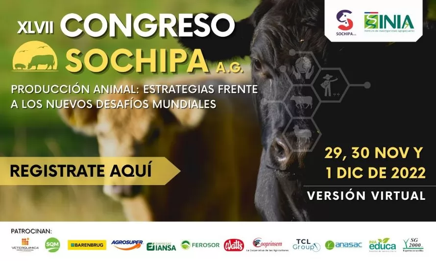 Congreso SOCHIPA: Con más de 80 trabajos y destacados expertos se desarrollará el evento